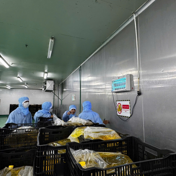 CÔNG TY TNHH PESTPRO ĐÀ LẠT