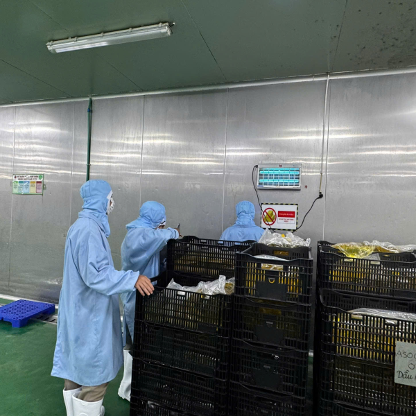 CÔNG TY TNHH PESTPRO ĐÀ LẠT