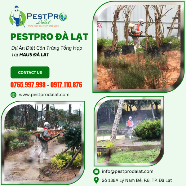 Dự án diệt côn trùng tổng hợp tại Haus Đà Lạt - PESTPRO ĐÀ LẠT