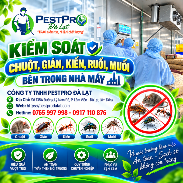 KIỂM SOÁT CHUỘT, GIÁN, KIẾN, RUỒI, MUỖI BÊN TRONG NHÀ MÁY
