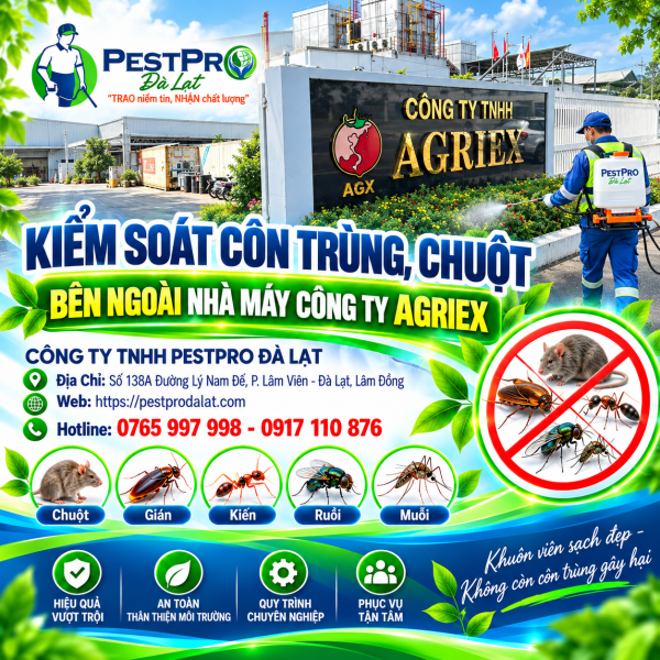 KIỂM SOÁT CÔN TRÙNG, CHUỘT BÊN NGOÀI NHÀ MÁY CÔNG TY AGRIEX
