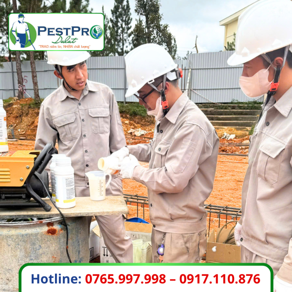 Phòng Chống Mối Công Trình Bằng Hóa Chất