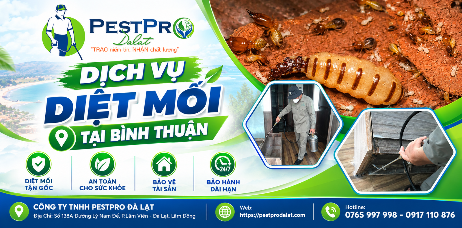 Công Ty Diệt Mối Uy Tín Tại Phan Thiết