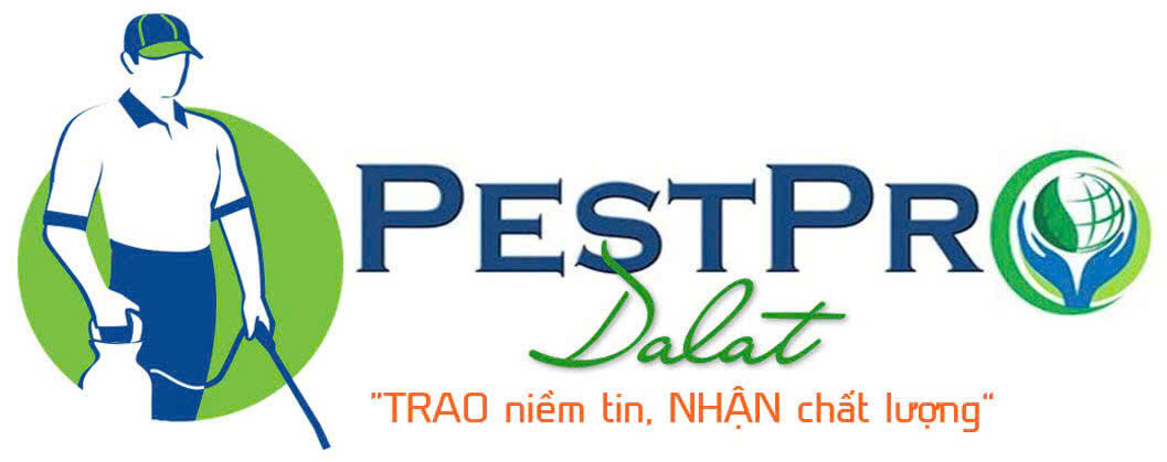 Công Ty Diệt Côn Trùng Gây Hại Số 1 Đà Lạt