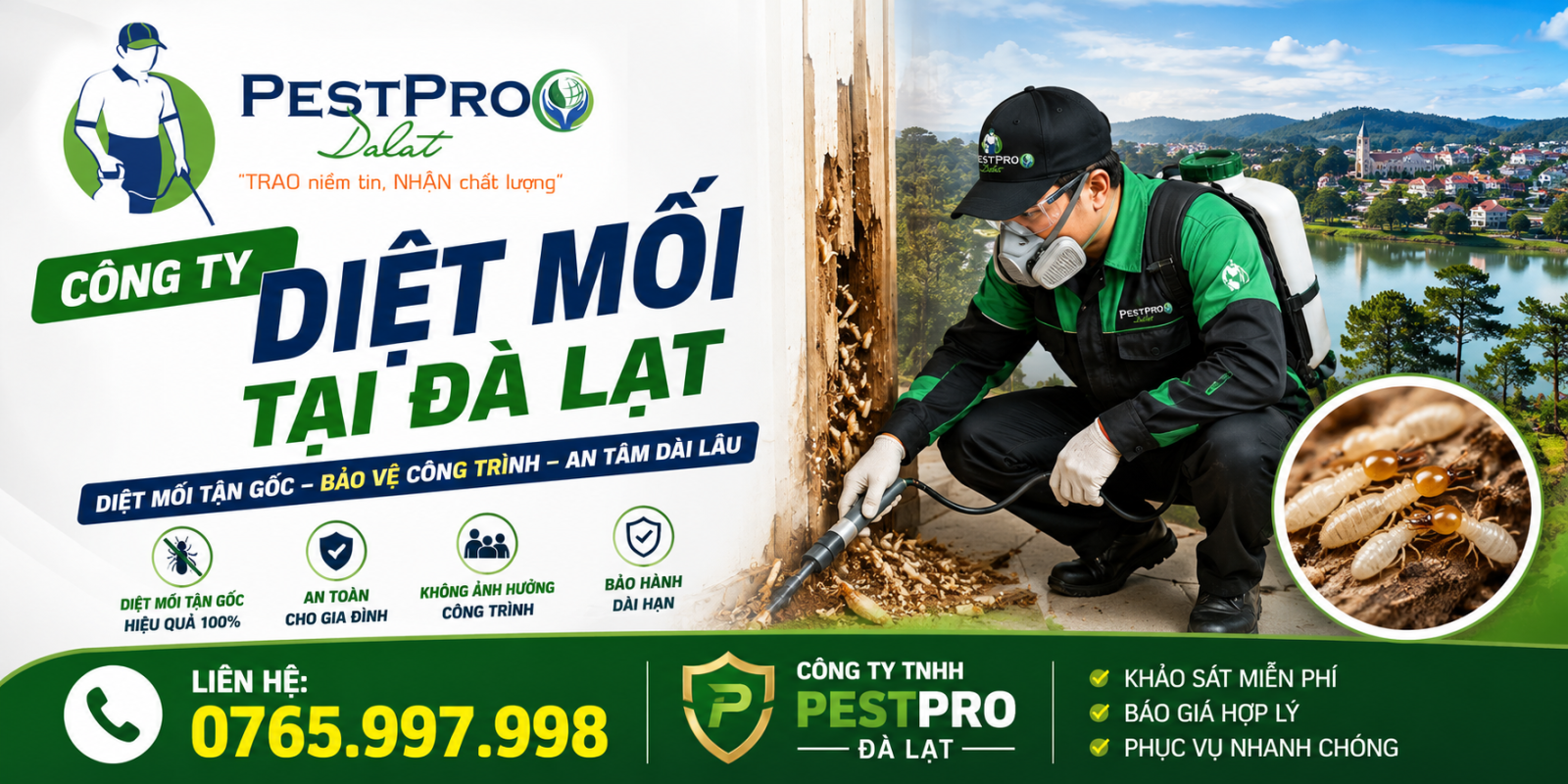 Công ty diệt mối tại Đà Lạt