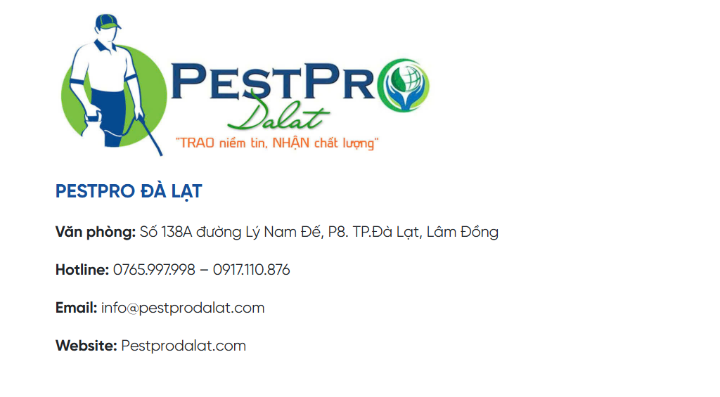 Các Phương Pháp Kiểm Soát Chim Hiệu Quả