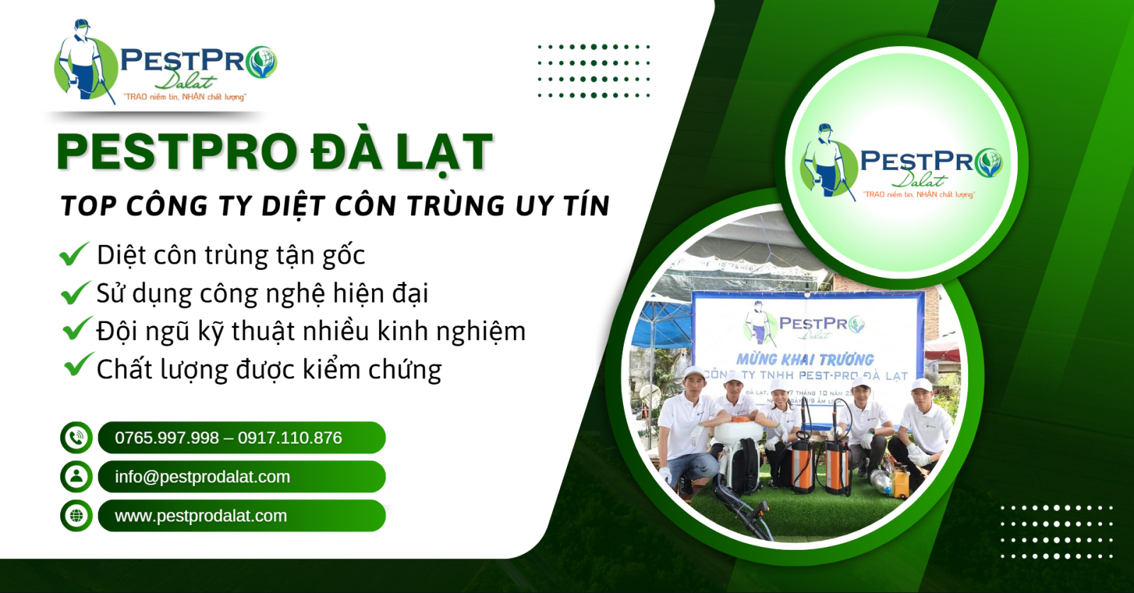 Dịch Vụ Bắt Mèo Hoang Tại Đà Lạt