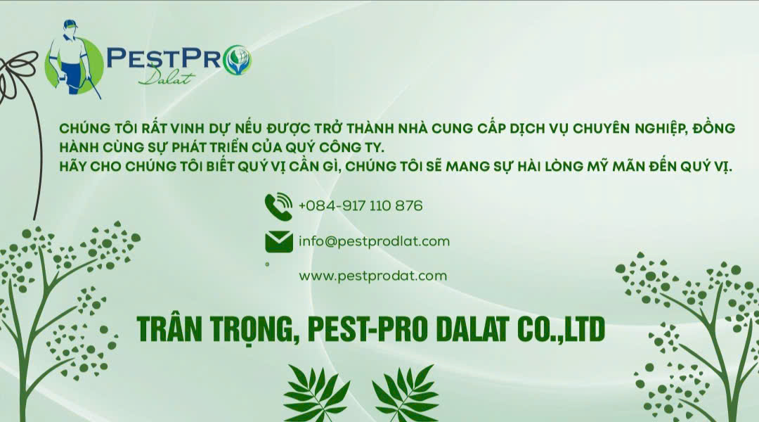 Diệt Mối, Côn Trùng Tận Gốc Tại Phường Nghĩa Tân, Lâm Đồng