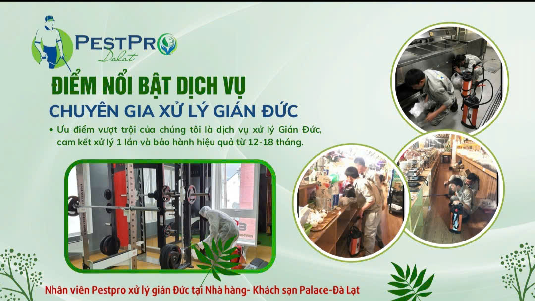 Top 1 Công Ty Diệt Côn Trùng Uy Tín Tại Đà Lạt