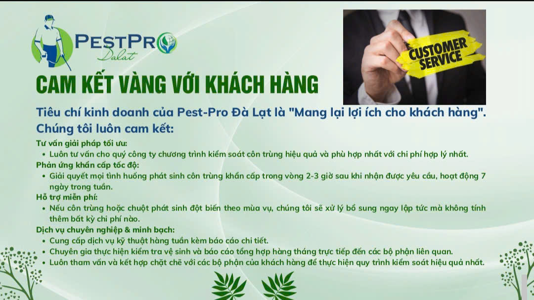 Xử Lý Côn Trùng Tại Bảo Lộc