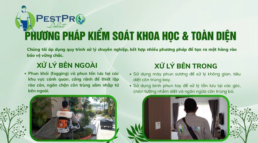 Diệt Mối, Côn Trùng Tận Gốc Tại Phường Mũi Né, Lâm Đồng