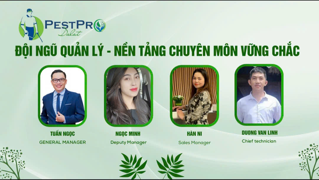 Diệt Mối, Côn Trùng Tận Gốc Tại Nhà ở Đà Lạt