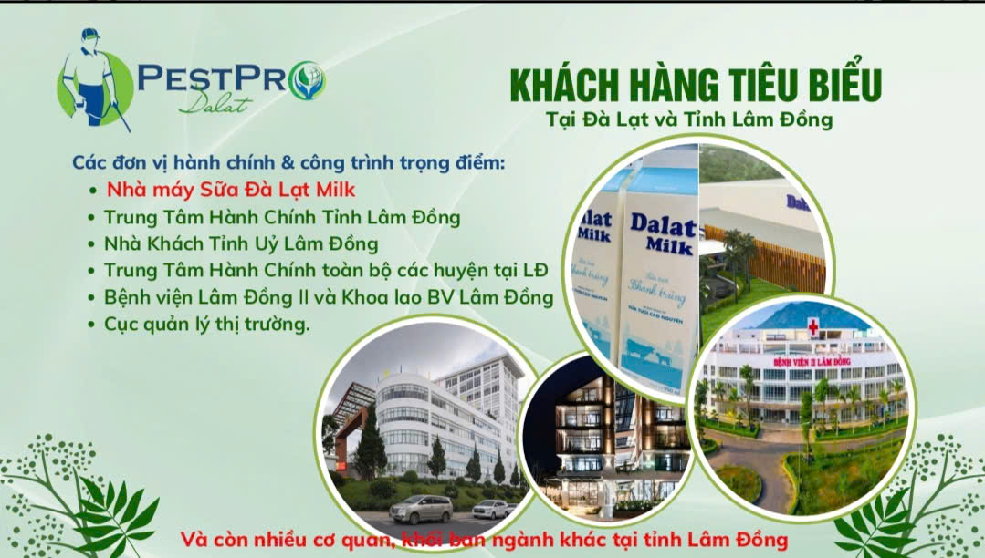 Công Ty Diệt Côn Trùng Giá Rẻ, Uy Tín