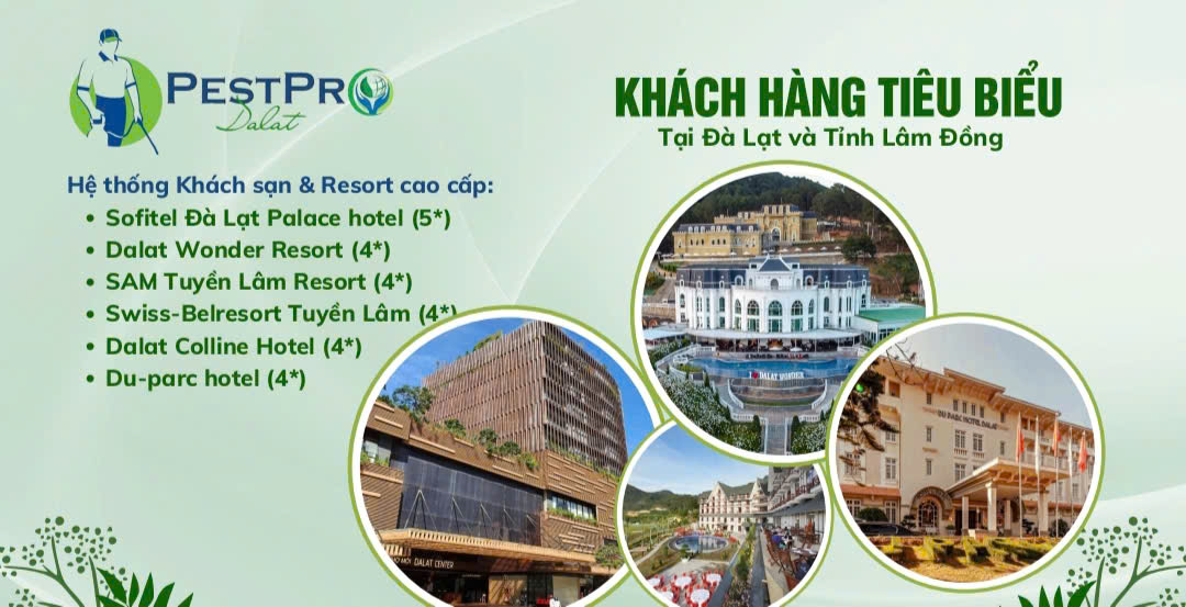 Diệt Mối, Côn Trùng Tận Gốc Tại Nhà ở Bảo Lộc, Lâm Đồng