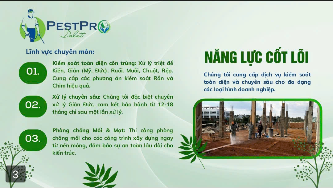 Diệt Mối Cho Cầu Thang Và Gỗ Quý Tại Đà Lạt 