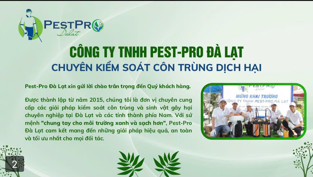 Xử Lý Côn Trùng Tận Gốc Đà Lạt
