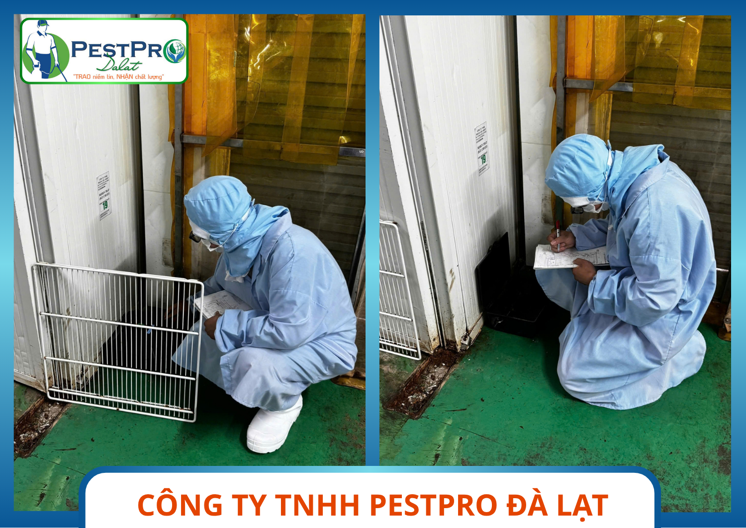Trạm bẫy chuột có số hiệu – Báo Cáo Xu Hướng Và Kiểm Soát Côn Trùng Cho Nhà Máy