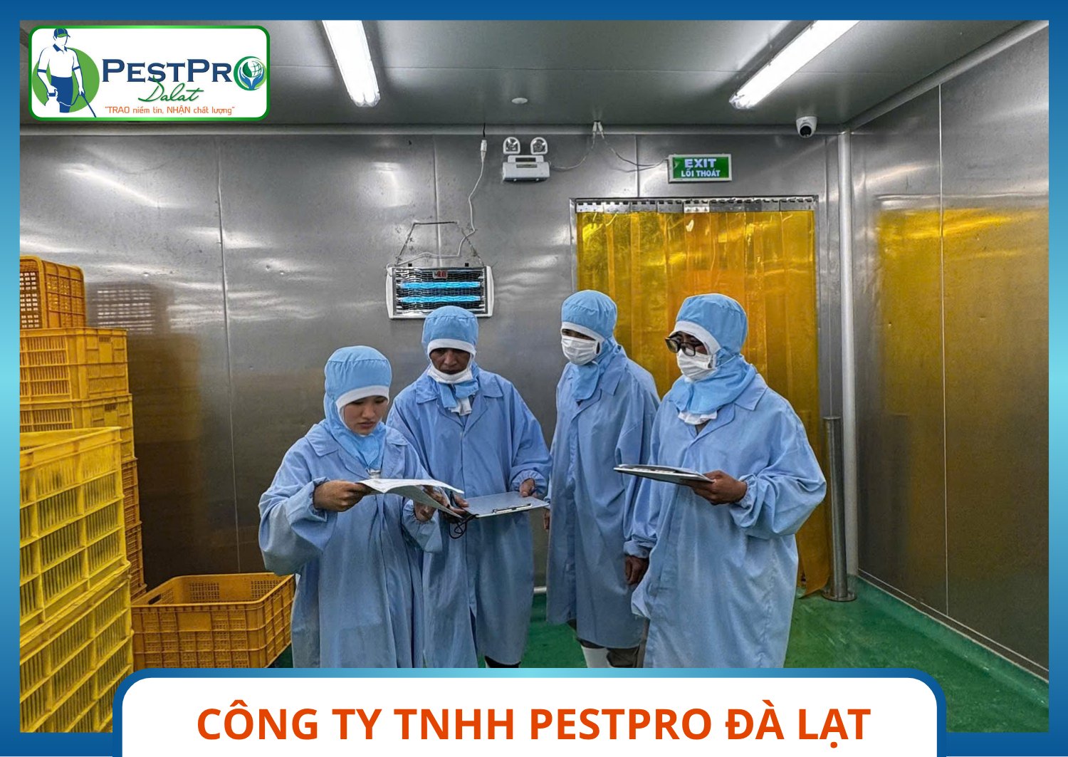 Báo Cáo Xu Hướng Và Kiểm Soát Côn Trùng Cho Nhà Máy: đội ngũ PestPro Đà Lạt khảo sát khu sản xuất
