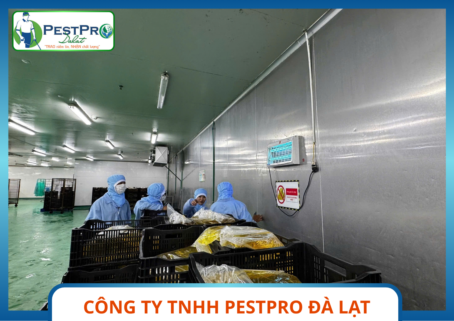 Kiểm tra đèn bắt côn trùng bay gần kho nguyên liệu – Kiểm Soát Chuột, Gián, Kiến, Ruồi, Muỗi Bên Trong Nhà Máy
