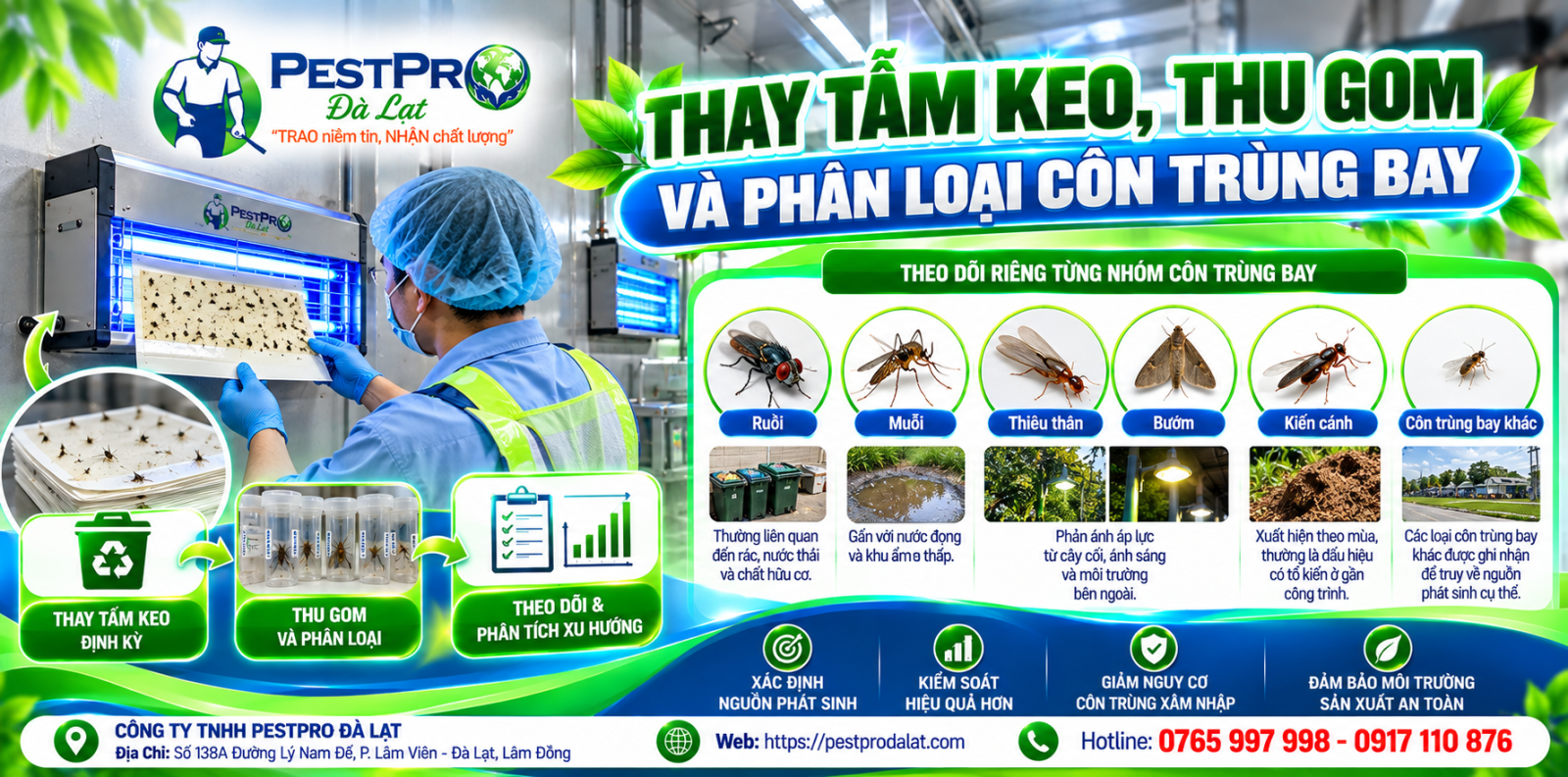 Thay tấm keo và thống kê côn trùng bay – Báo Cáo Xu Hướng Và Kiểm Soát Côn Trùng Cho Nhà Máy