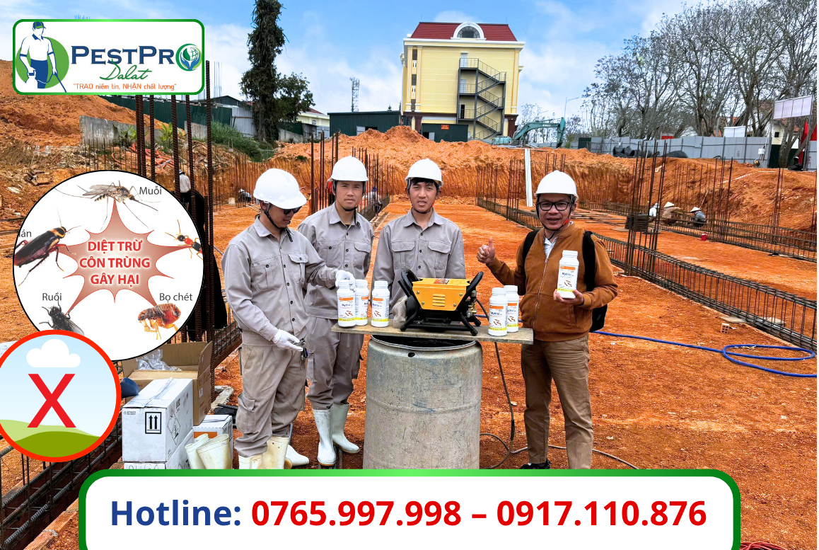 Kiểm Soát Mối Nền Móng Công Trình Xây Dựng