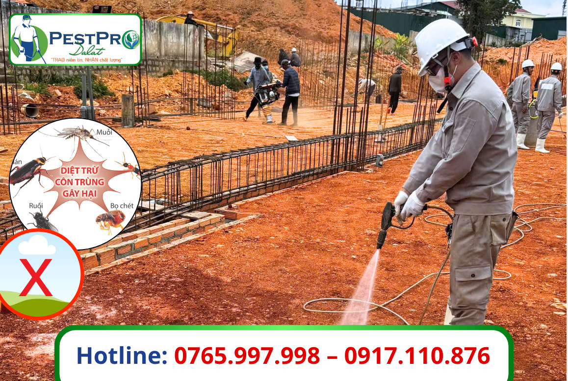 Phòng Chống Mối Nền Móng