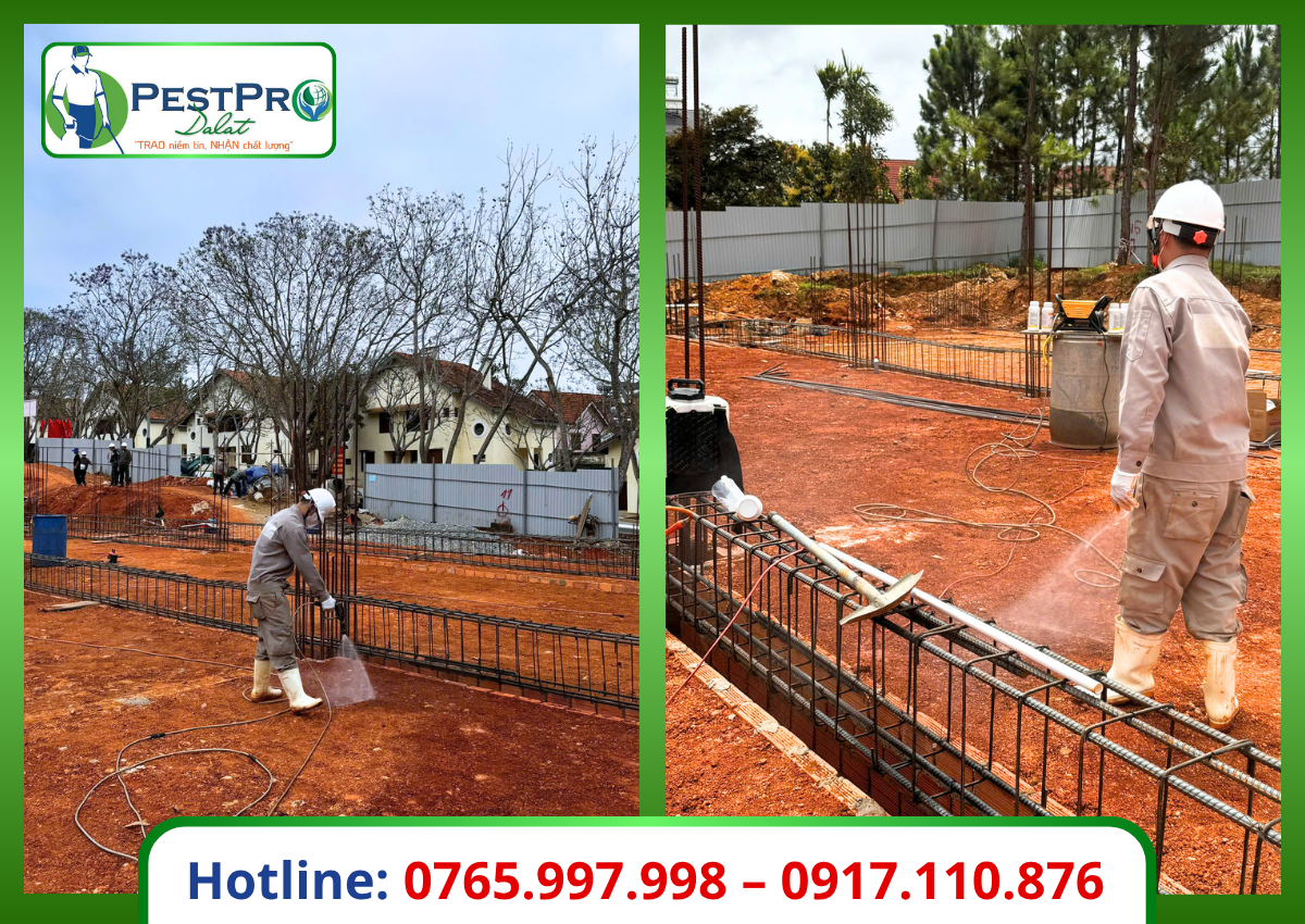 Kiểm Soát Mối Nền Móng Tại Công Trình Xây Dựng Học Viện Lục Quân