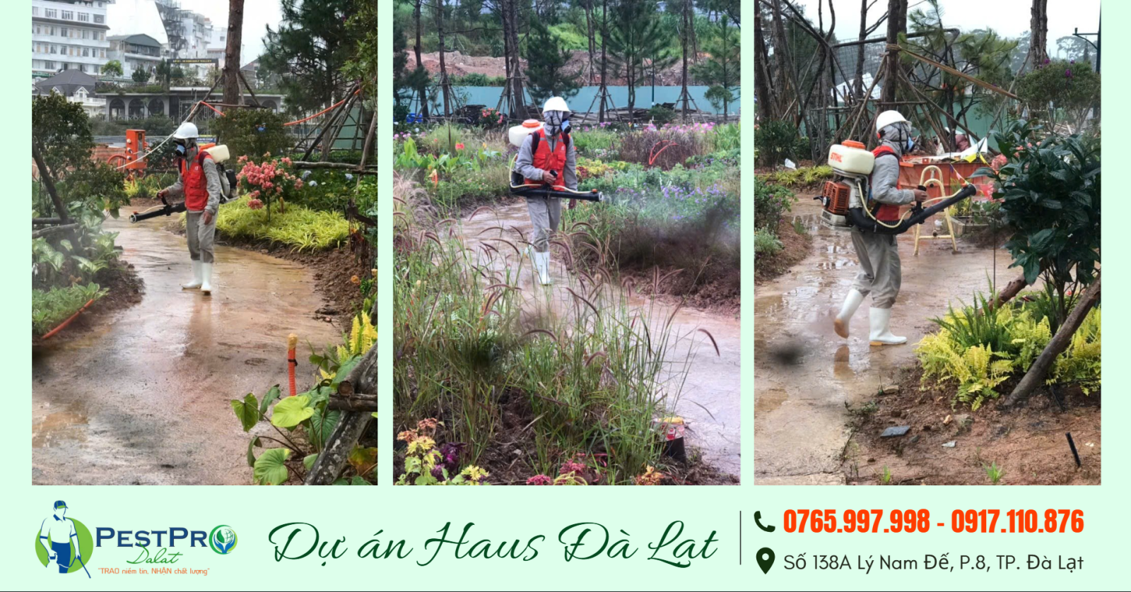 Diệt Mối, Côn Trùng Tận Gốc Tại Nhà ở Di Linh, Lâm Đồng