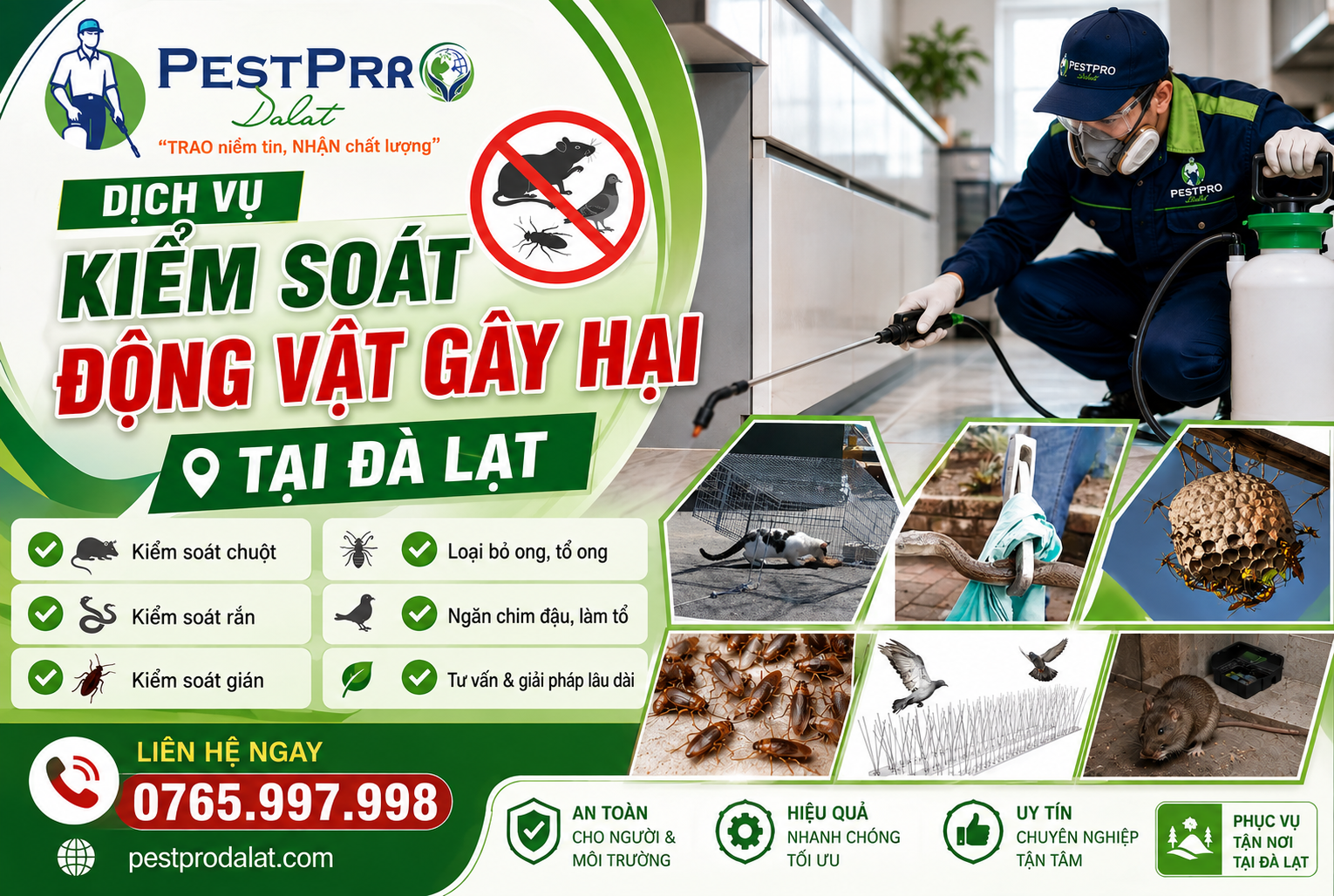 Kiểm Soát Động Vật Gây Hại Tại Đà Lạt
