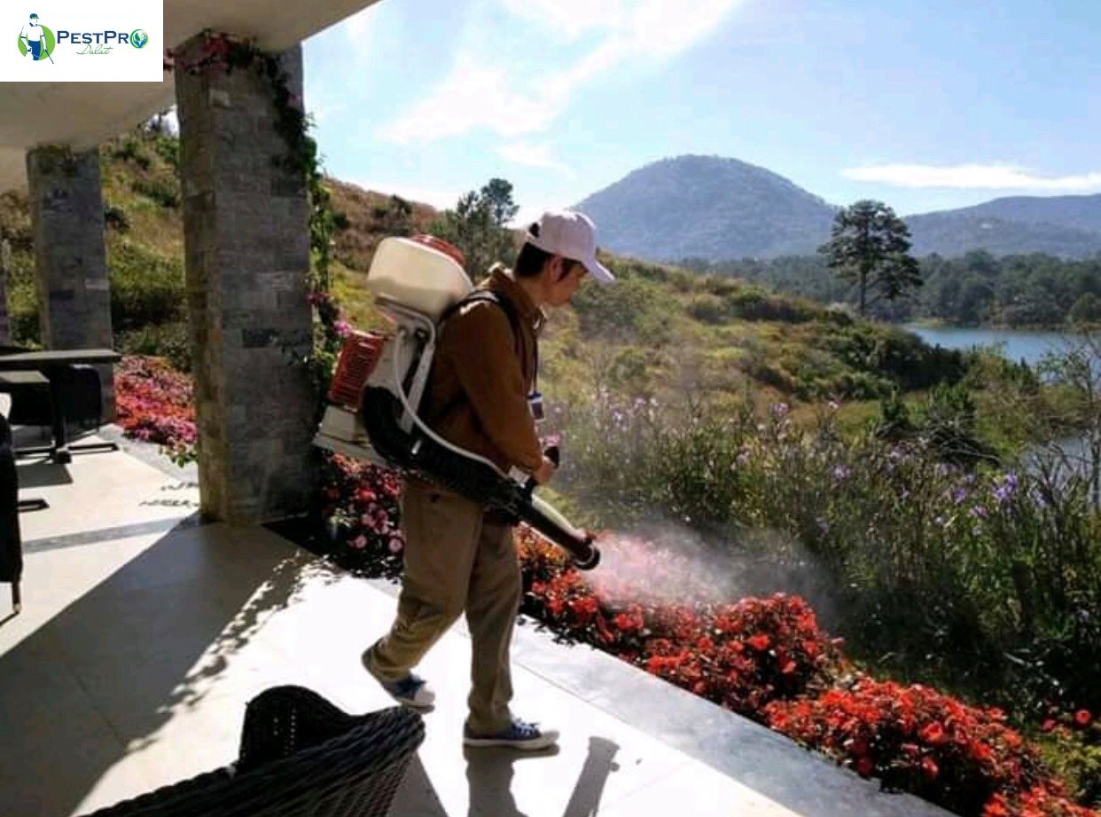 Đơn Vị Xử Lý Côn Trùng Tại Đà Lạt
