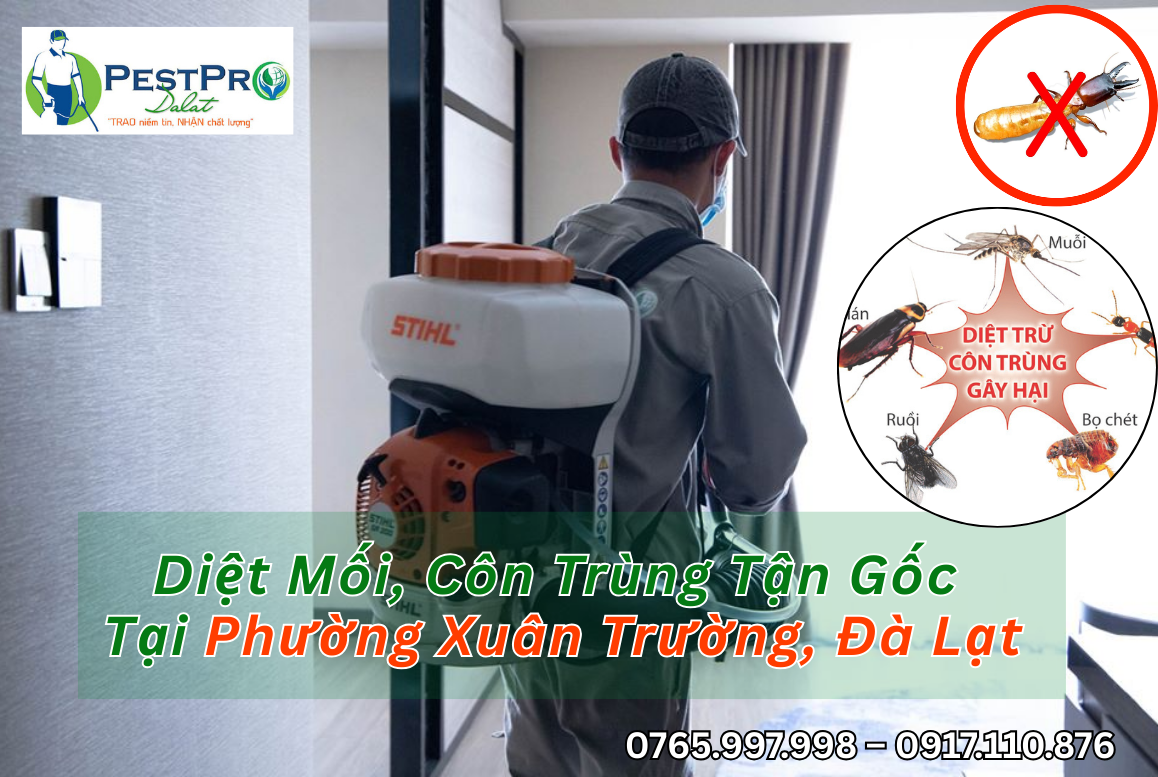 Diệt Mối, Côn Trùng Tận Gốc Tại Phường Xuân Trường, Đà Lạt