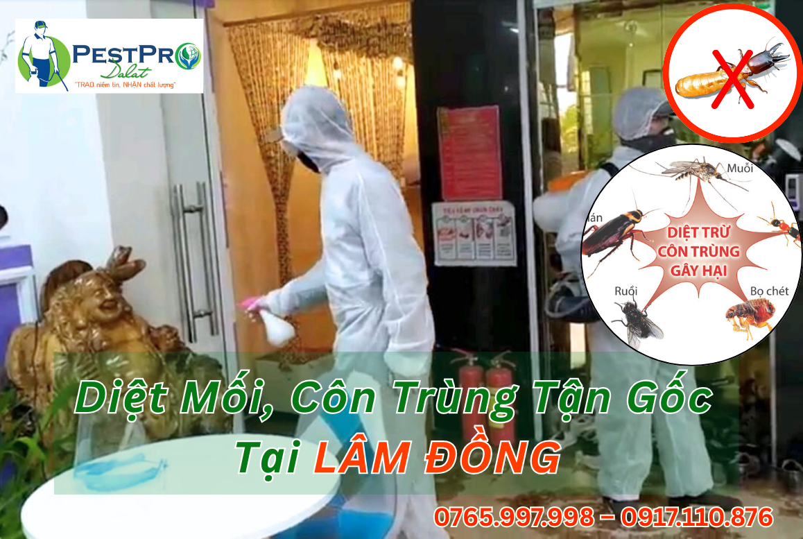 Diệt Mối, Côn Trùng Tận Gốc Tại Nhà ở Lâm Đồng
