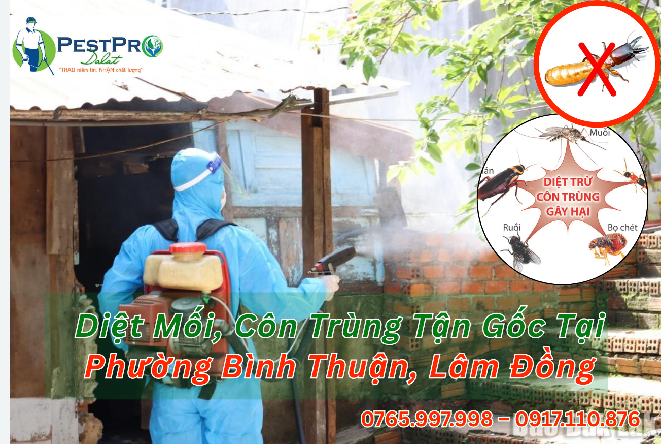 Diệt Mối, Côn Trùng Tận Gốc Tại Phường Bình Thuận, Lâm Đồng