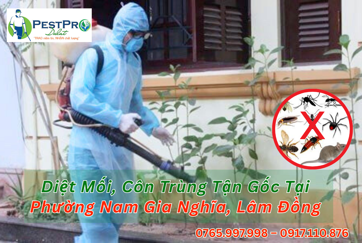 Diệt Mối, Côn Trùng Tận Gốc Tại Nam Gia Nghĩa, Lâm Đồng