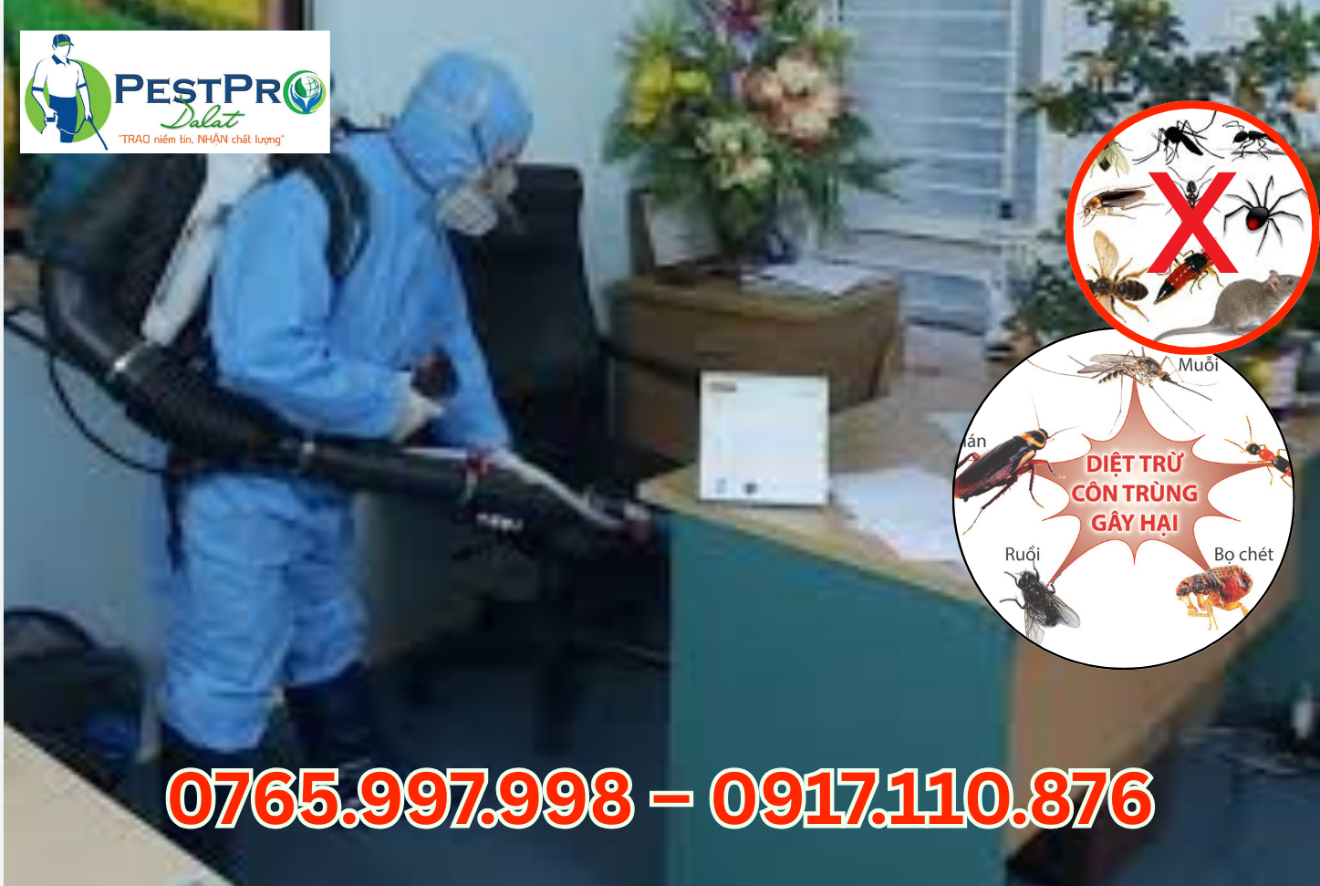 Công Ty Diệt Côn Trùng Giá Rẻ, Uy Tín Tại Nhà