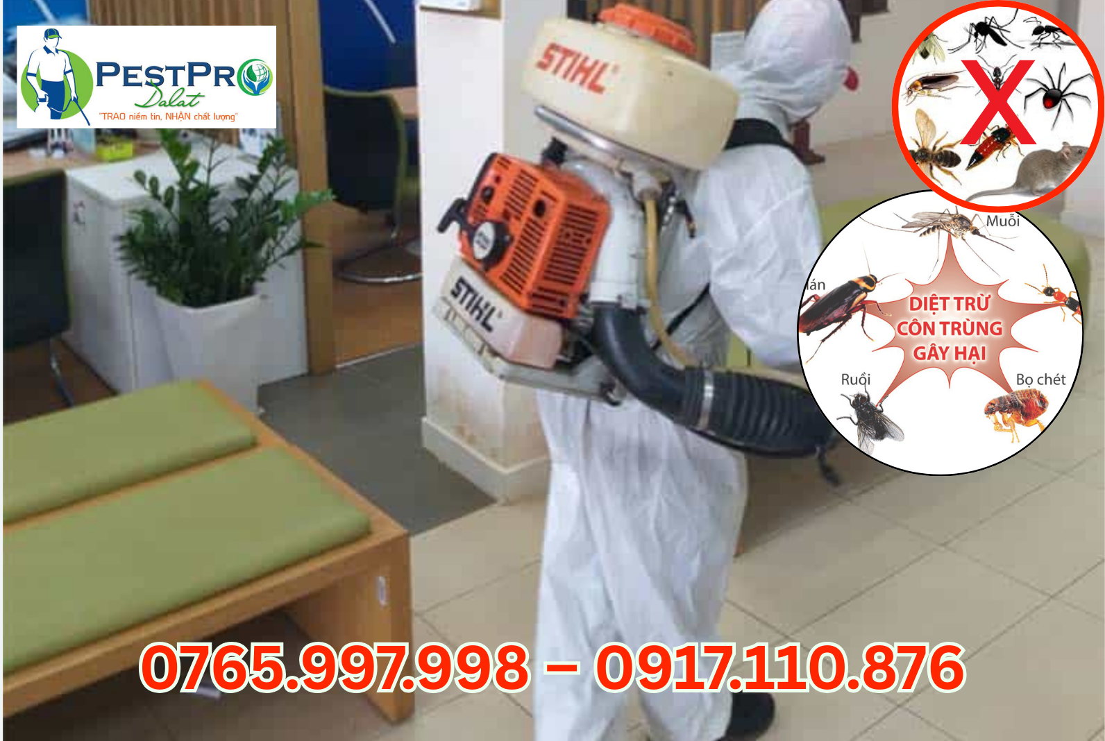 Công Ty Diệt Côn Trùng Tận Gốc Uy Tín, Giá Rẻ