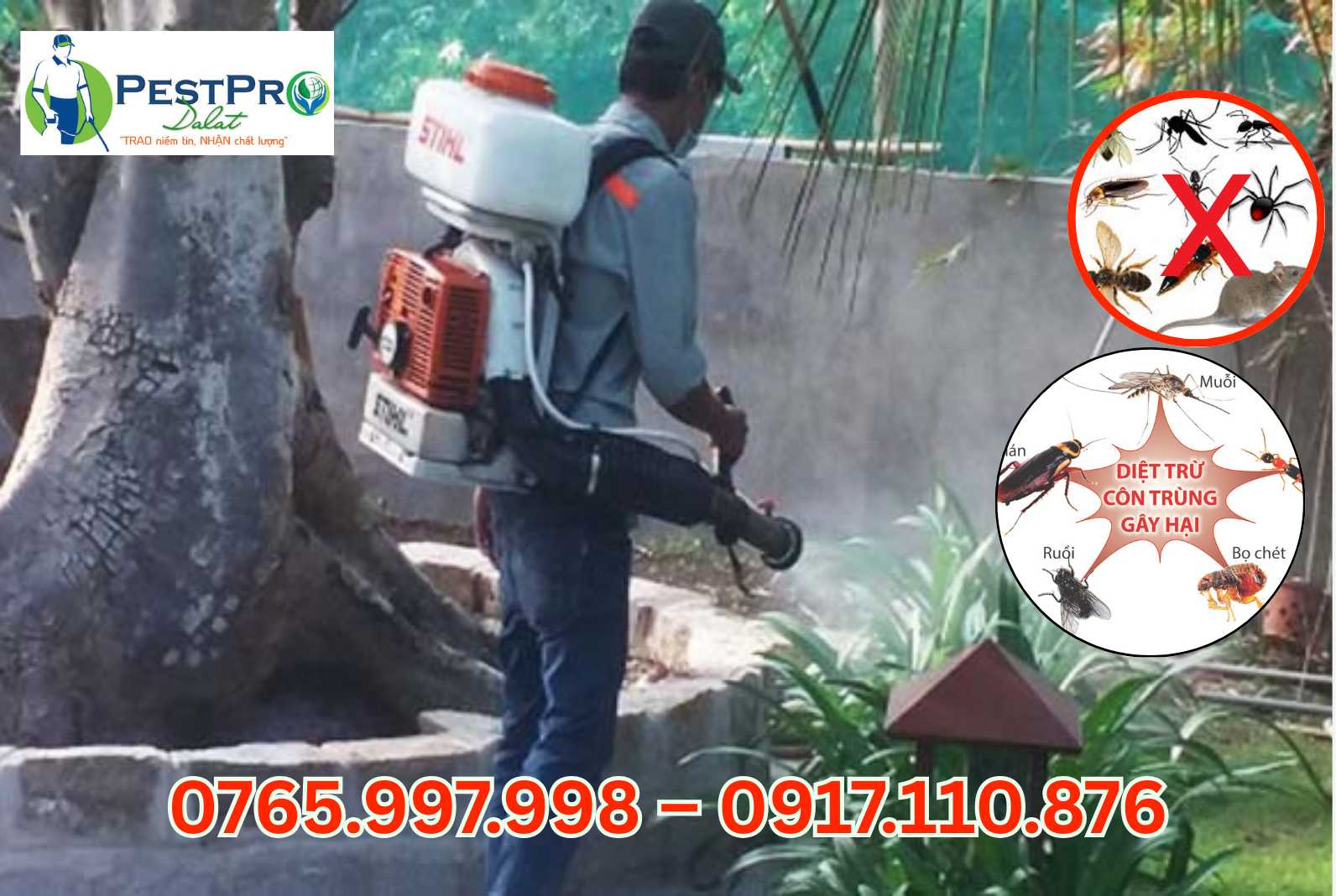 Công Ty Diệt Côn Trùng