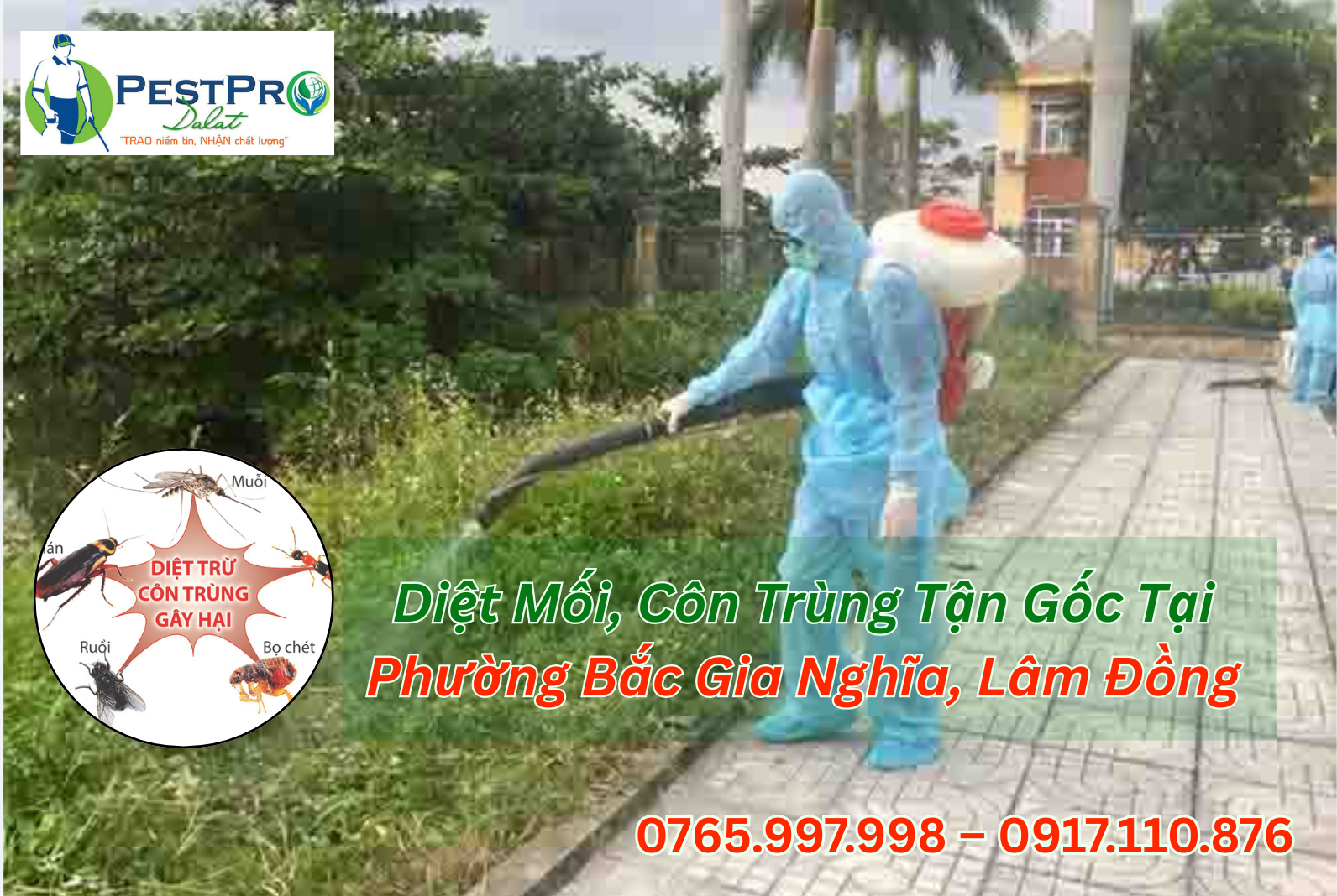Diệt Mối, Côn Trùng Tận Gốc Tại Phường Bắc Gia Nghĩa, Lâm Đồng