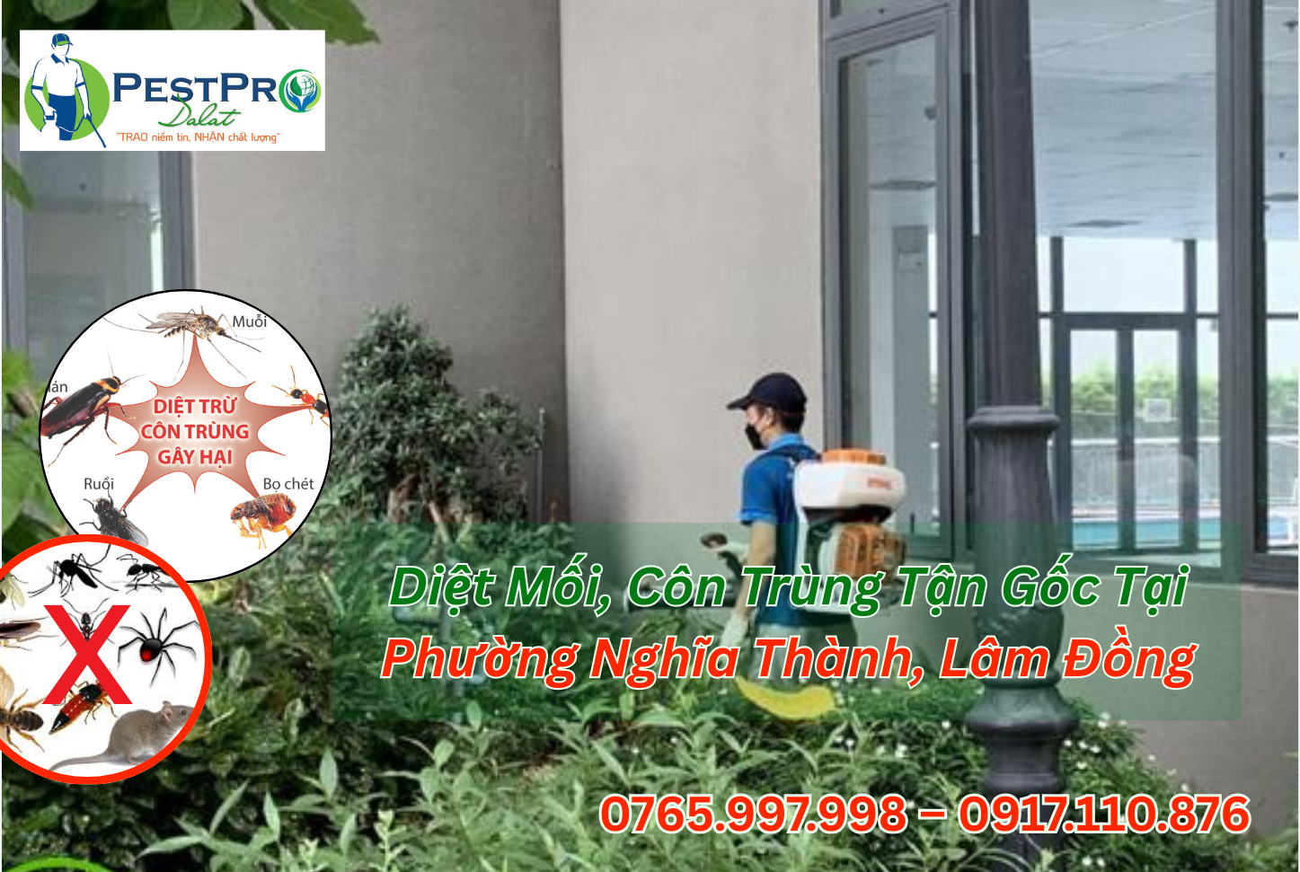 Diệt Mối, Côn Trùng Tận Gốc Tại Phường Nghĩa Thành, Lâm Đồng