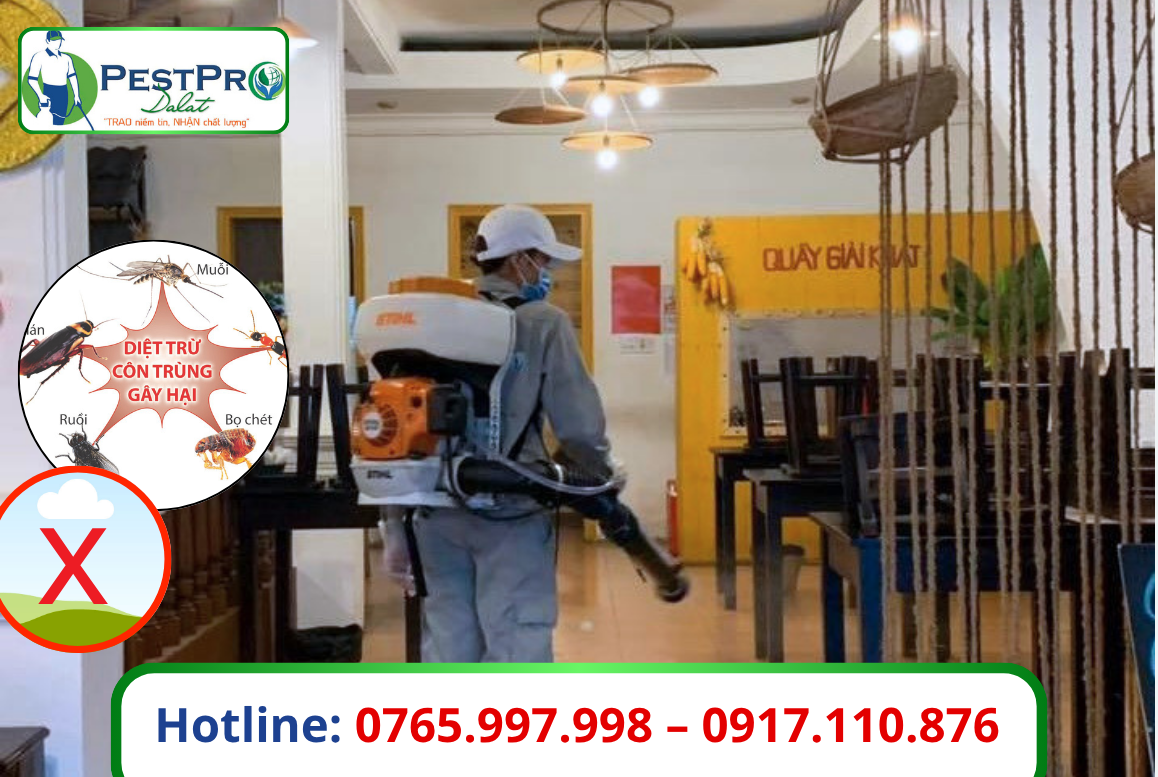 Xử Lý Côn Trùng tại Lâm Đồng