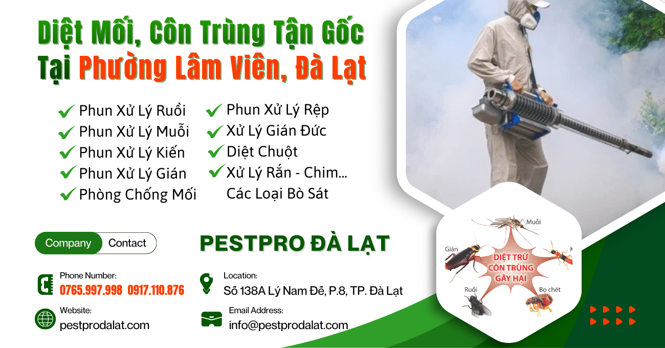 Diệt Mối, Côn Trùng Tận Gốc Tại Phường Lâm Viên, Đà Lạt