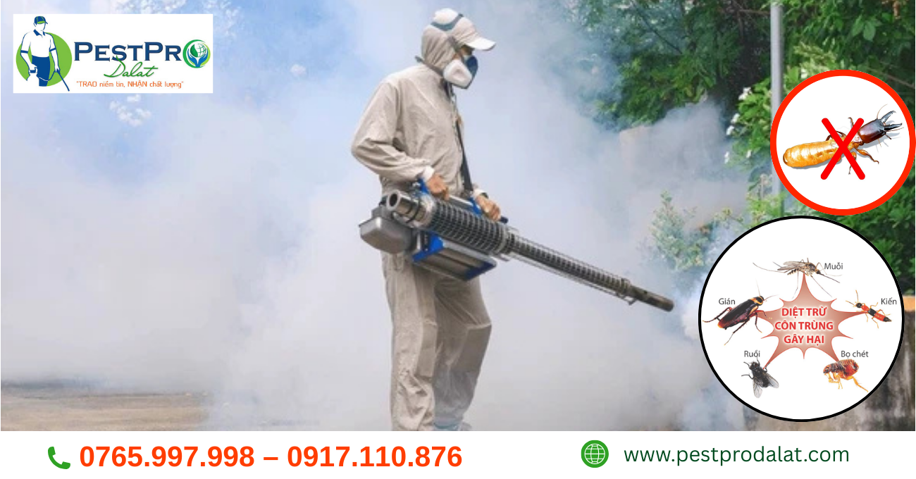 Diệt Mối, Côn Trùng Tận Gốc Tại Phường Lâm Viên, Đà Lạt