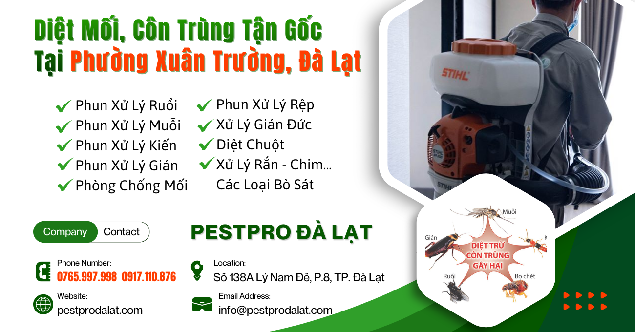 Diệt Mối, Côn Trùng Tận Gốc Tại Phường Xuân Trường, Đà Lạt