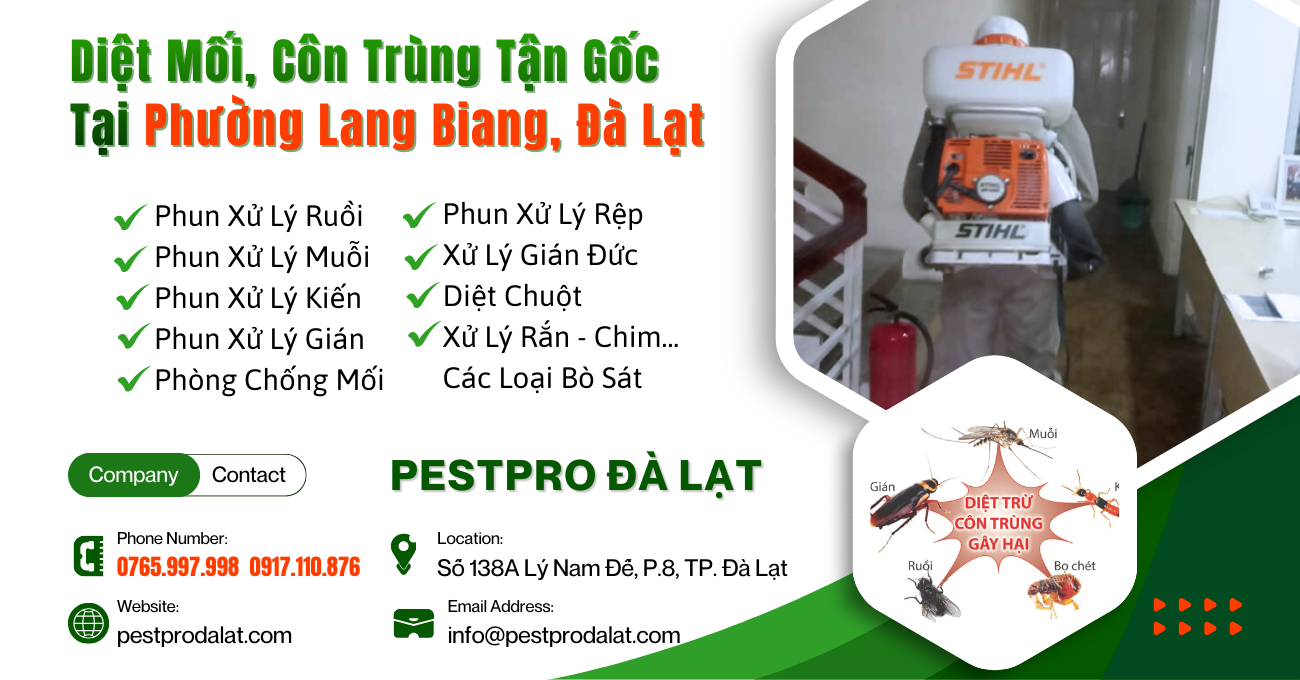 Diệt Mối, Côn Trùng Tận Gốc Tại Phường Lang Biang, Đà Lạt