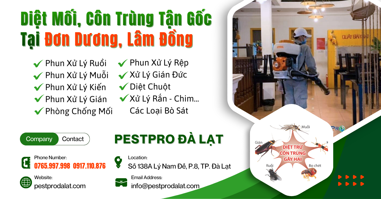 Diệt Mối, Côn Trùng Tận Gốc Tại Nhà ở Đơn Dương, Lâm Đồng
