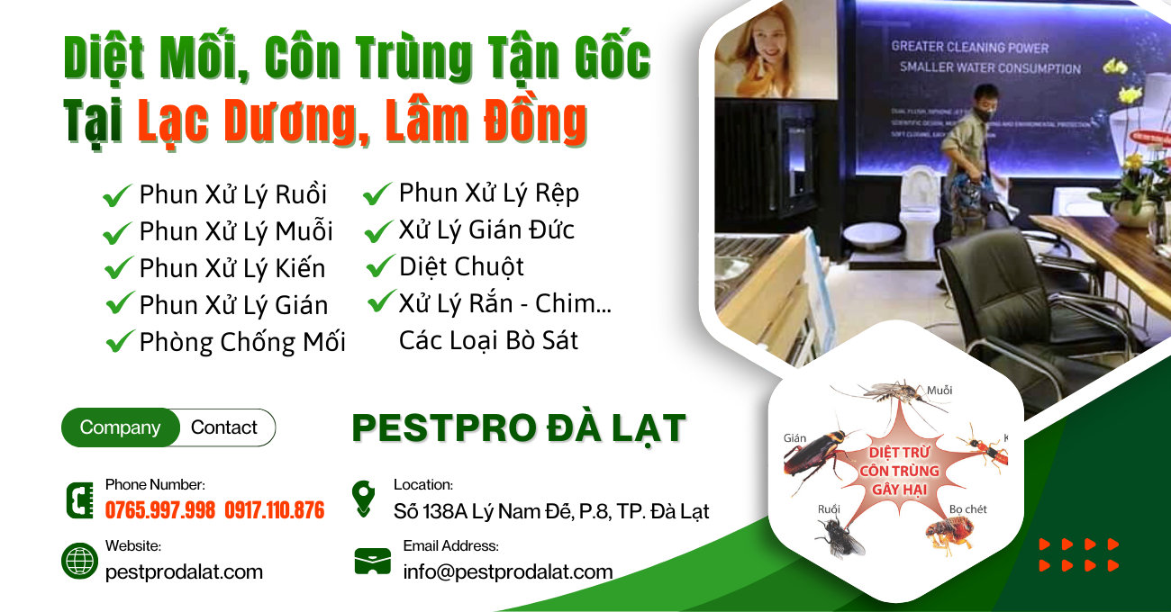 Diệt Mối, Côn Trùng Tận Gốc Tại Nhà ở Lạc Dương, Lâm Đồng