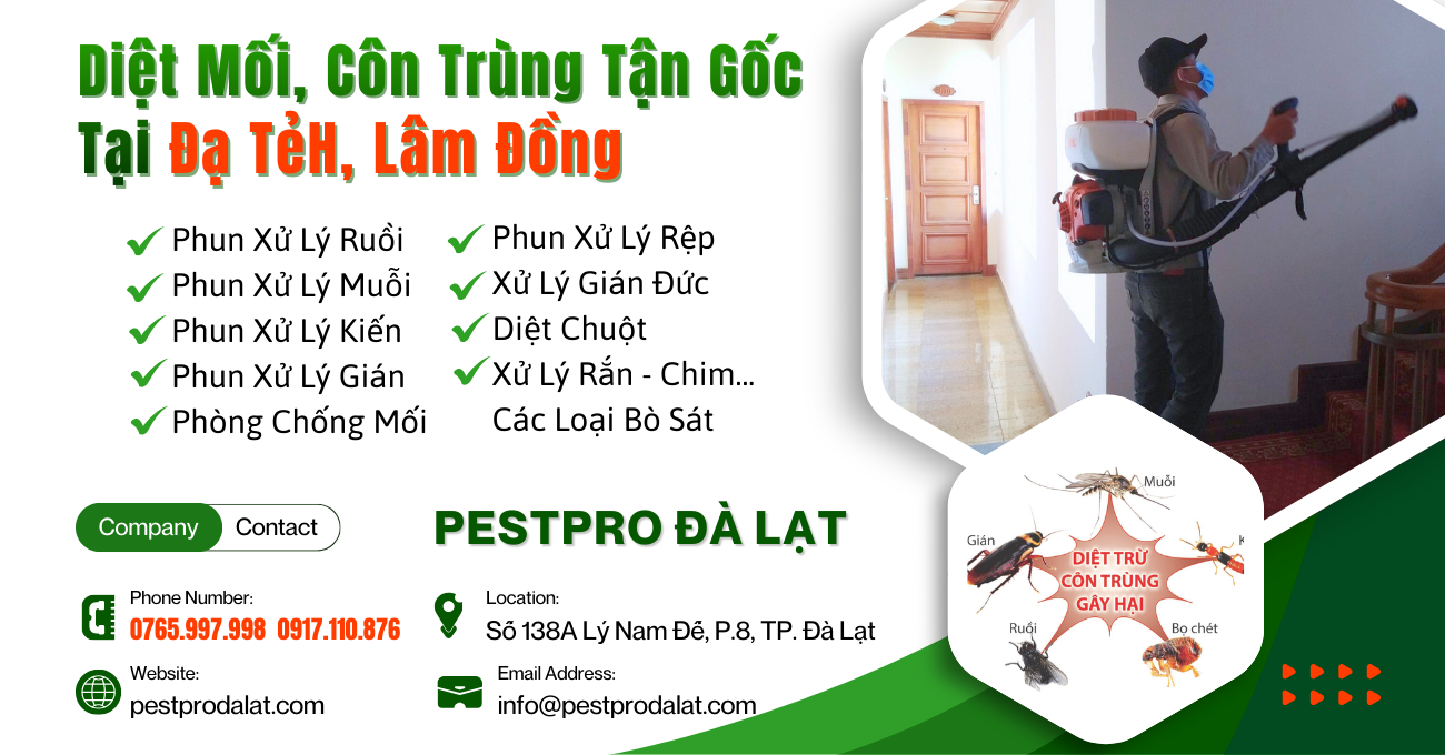 Diệt Mối, Côn Trùng Tận Gốc Tại Nhà ở Đạ Tẻh, Lâm Đồng