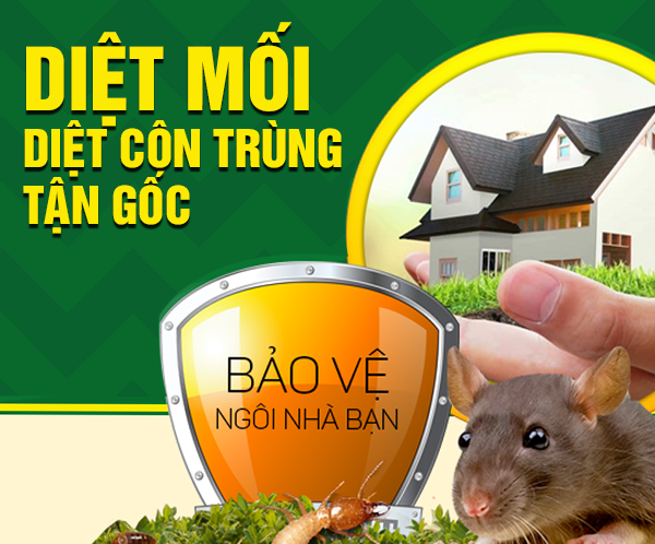 Diệt Mối, Côn Trùng Tận Gốc Tại Nhà ở Đức Trọng, Lâm Đồng