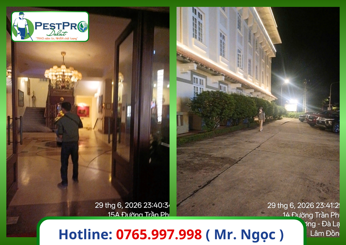 Diệt gián Đức tận gốc 