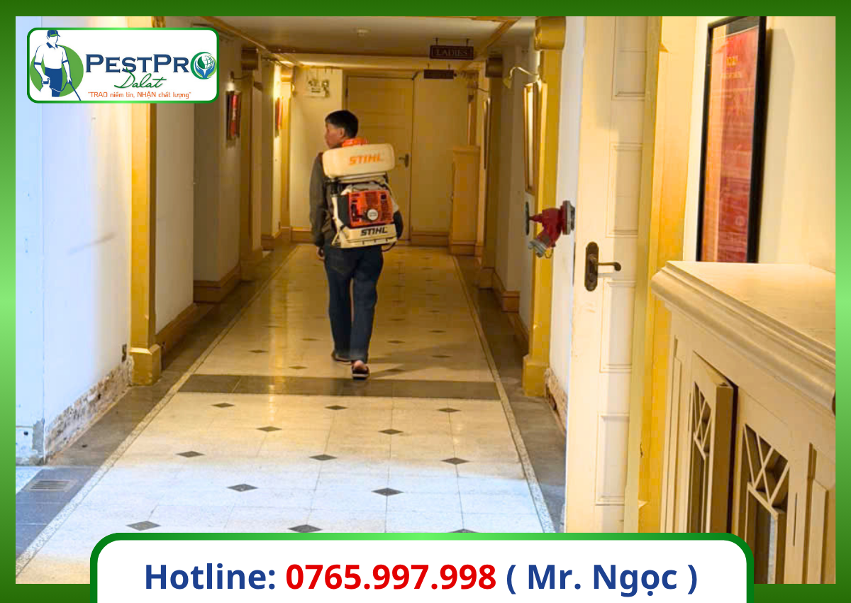 Diệt gián Đức tận gốc 